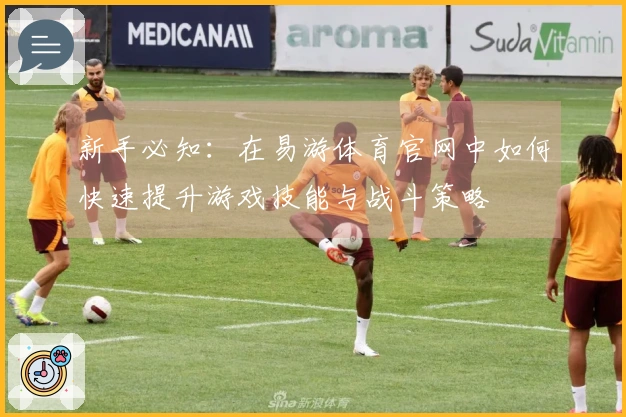 新手必知：在易游体育官网中如何快速提升游戏技能与战斗策略