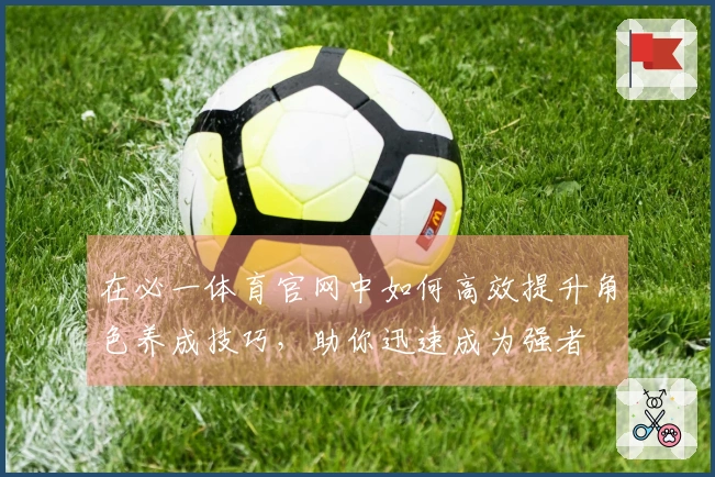 在必一体育官网中如何高效提升角色养成技巧，助你迅速成为强者