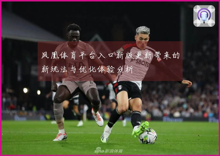 凤凰体育平台入口新版更新带来的新玩法与优化体验分析